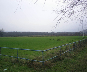Šport